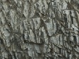 Rock Textures (5).jpg